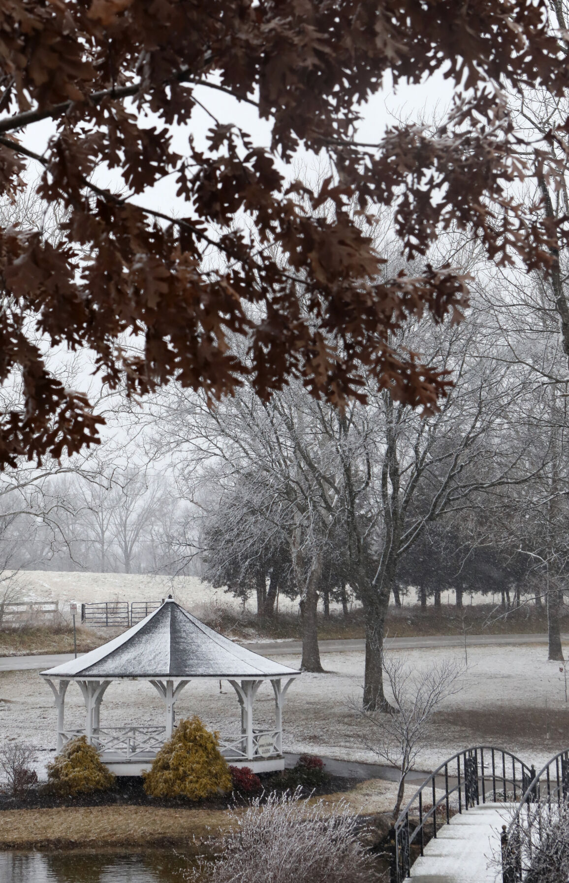Snow falls at Lions Lake